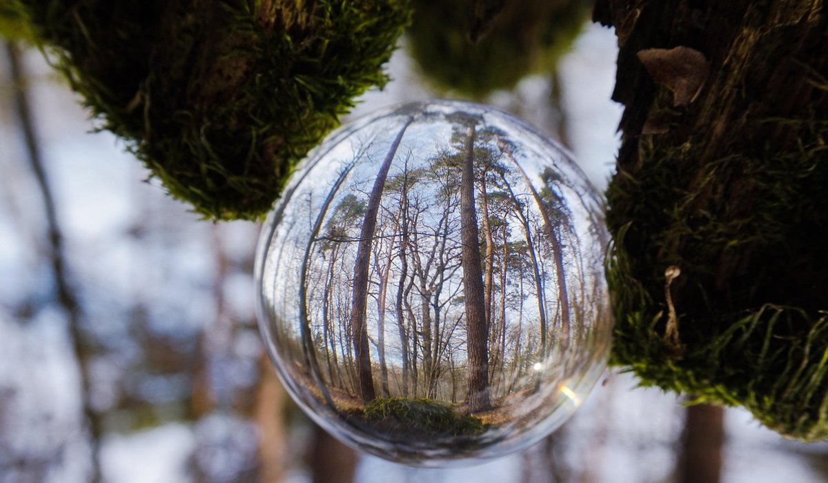 Creating a Daily Photography Ritual for Calm Focus